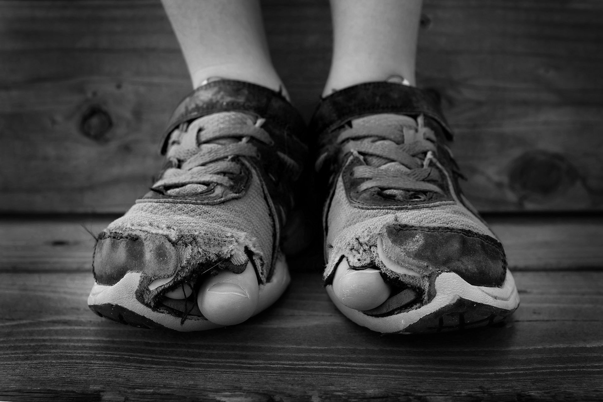 shutterstock_289851362_huge